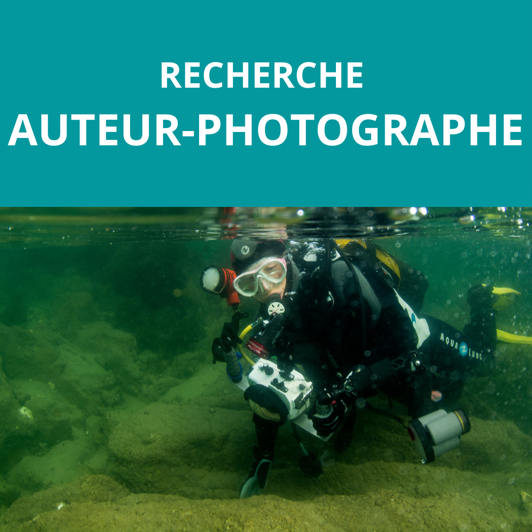 Recherche auteur-photographe