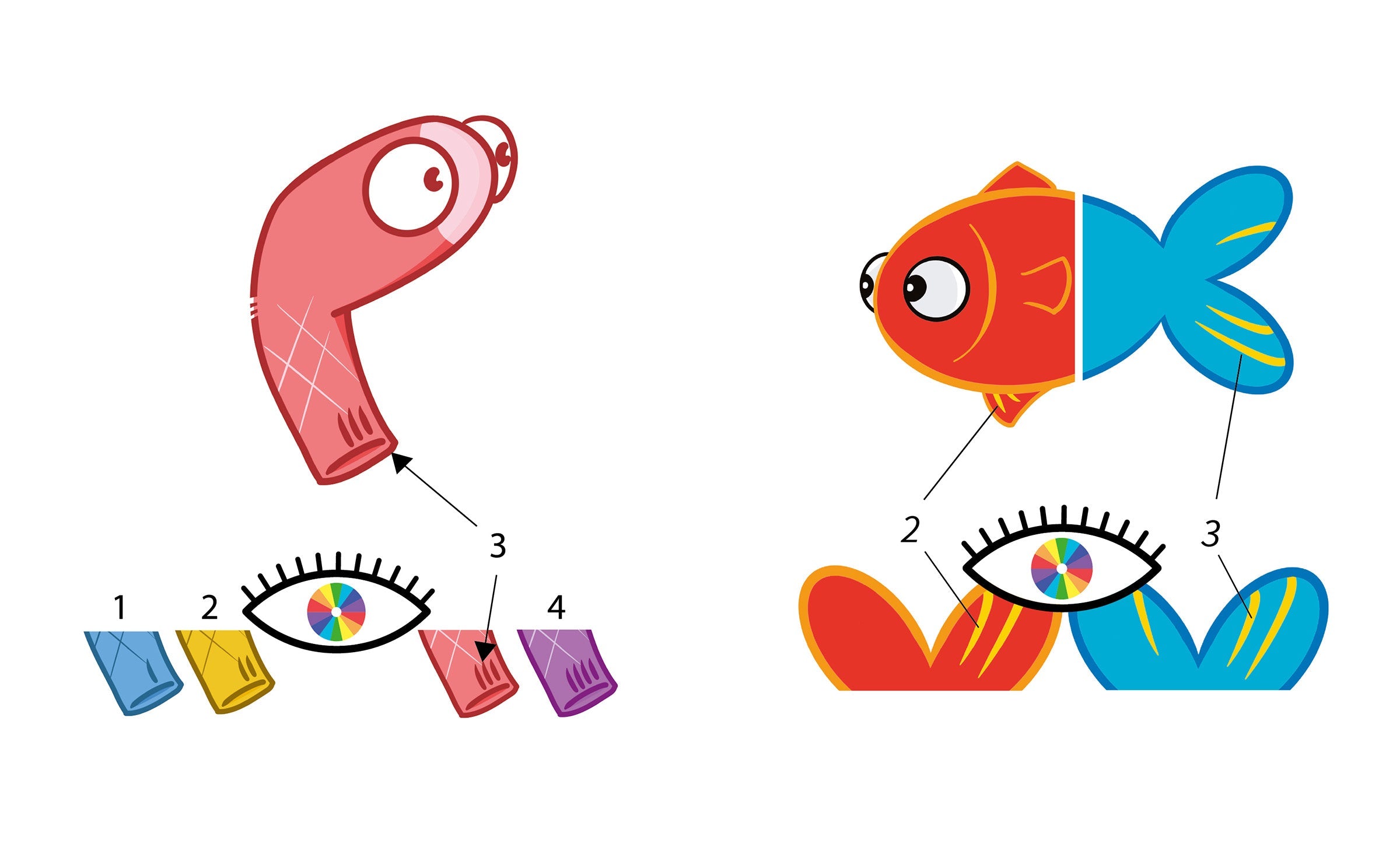 Jeux accessibles : Chaussette ! et Koriké adaptés aux daltoniens