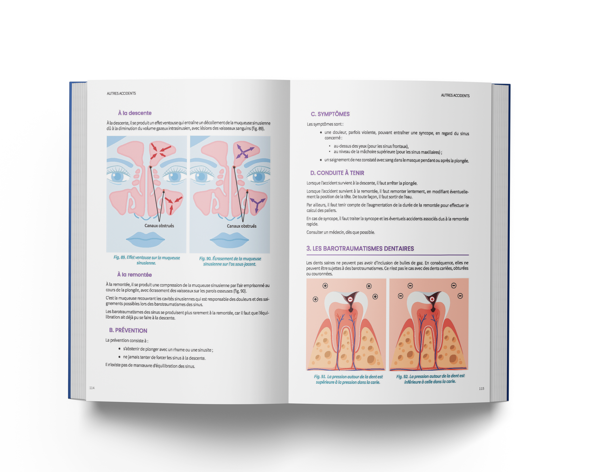 Anatomie, Physiologie et Prévention des Accidents de plongée