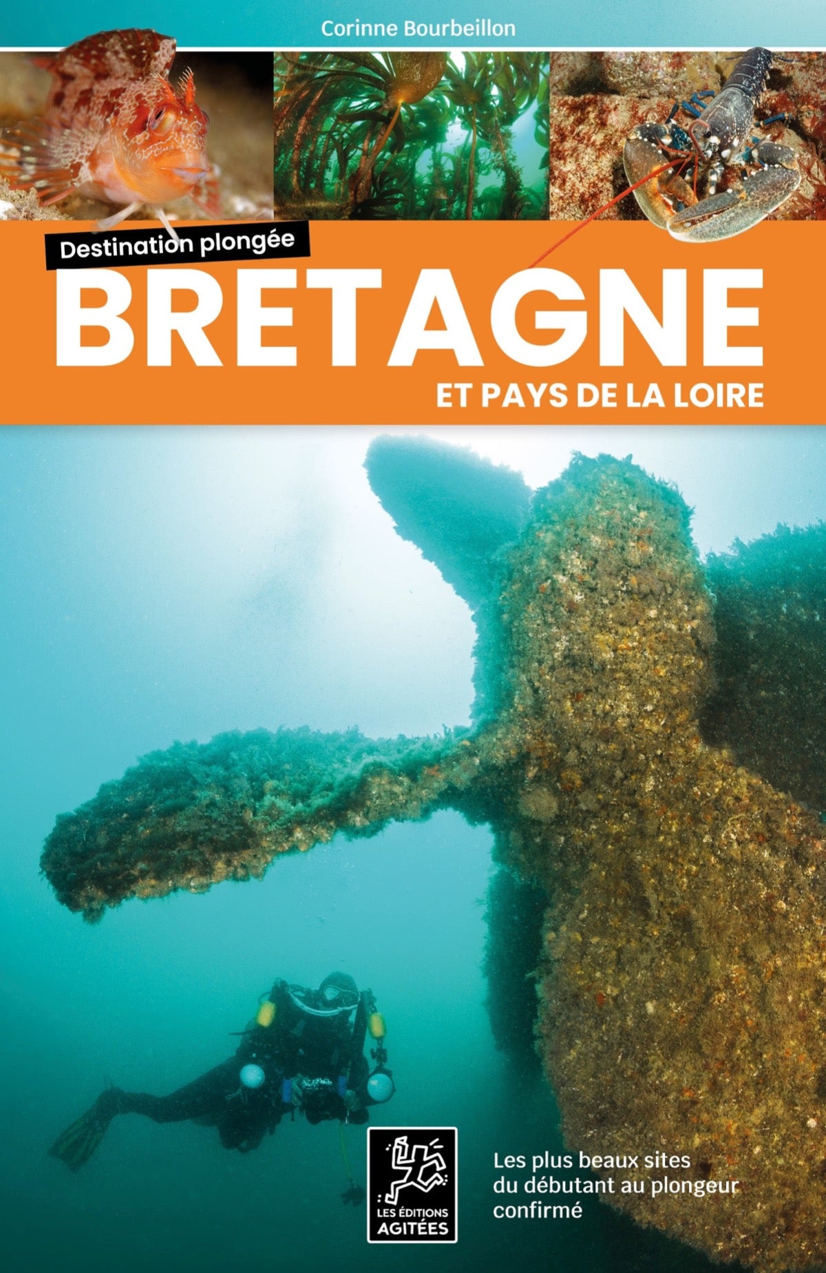 plonge bretagne