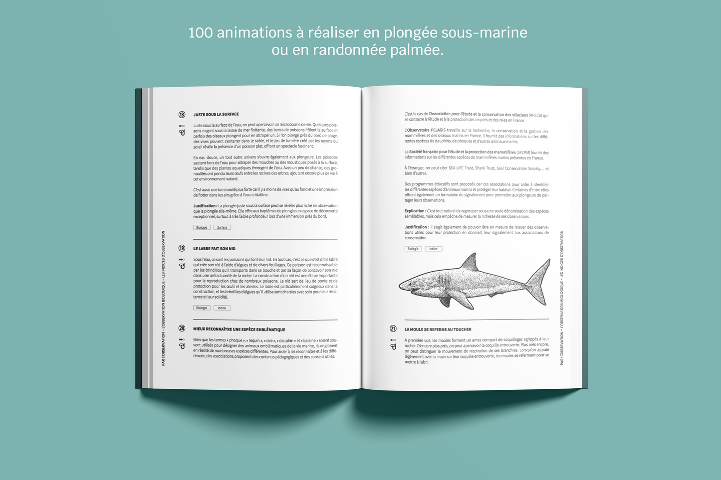 L'animation en plongée - par l'observation, la conduite de palanquée et le jeu