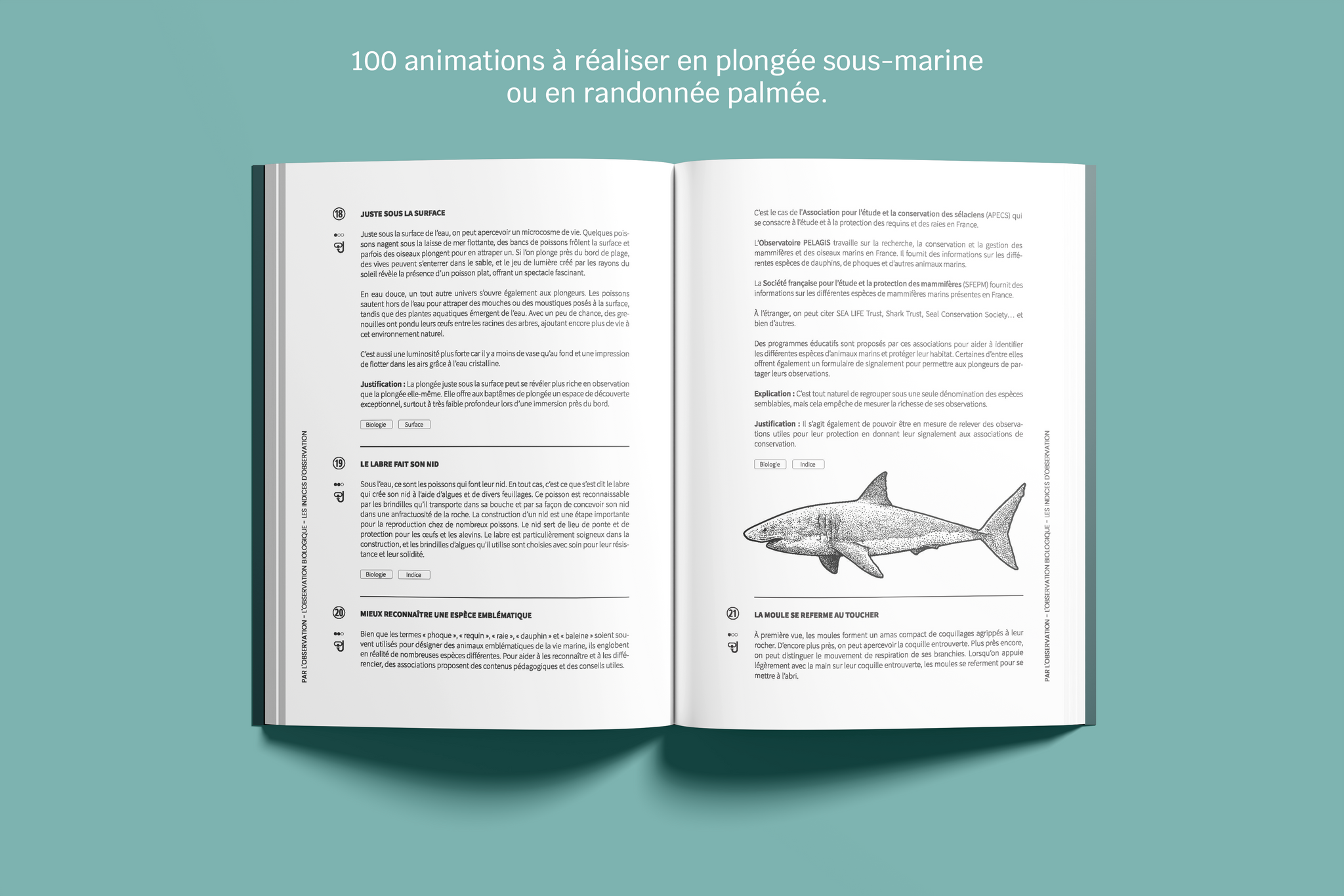 L'animation en plongée - par l'observation, la conduite de palanquée et le jeu