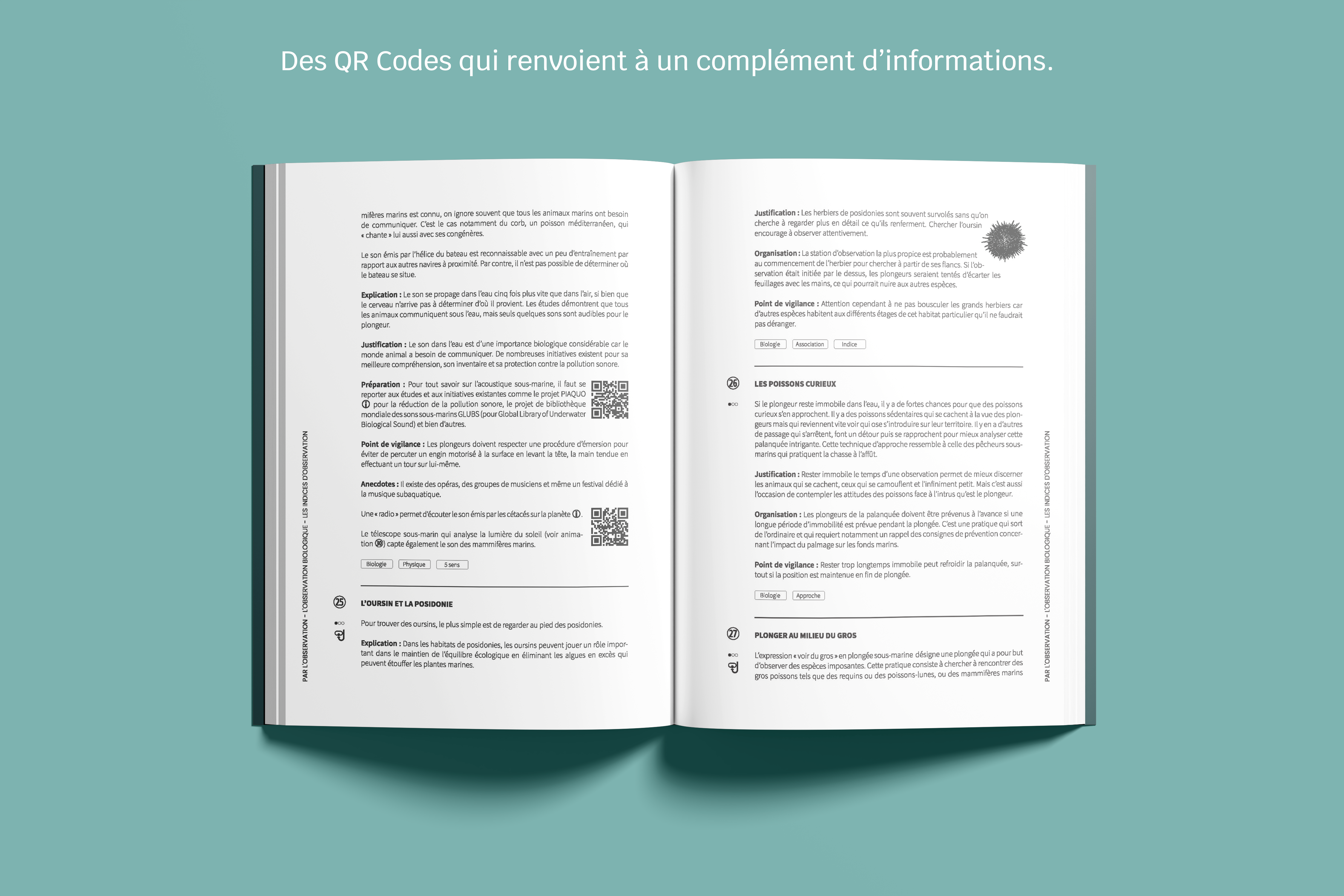 L'animation en plongée - par l'observation, la conduite de palanquée et le jeu