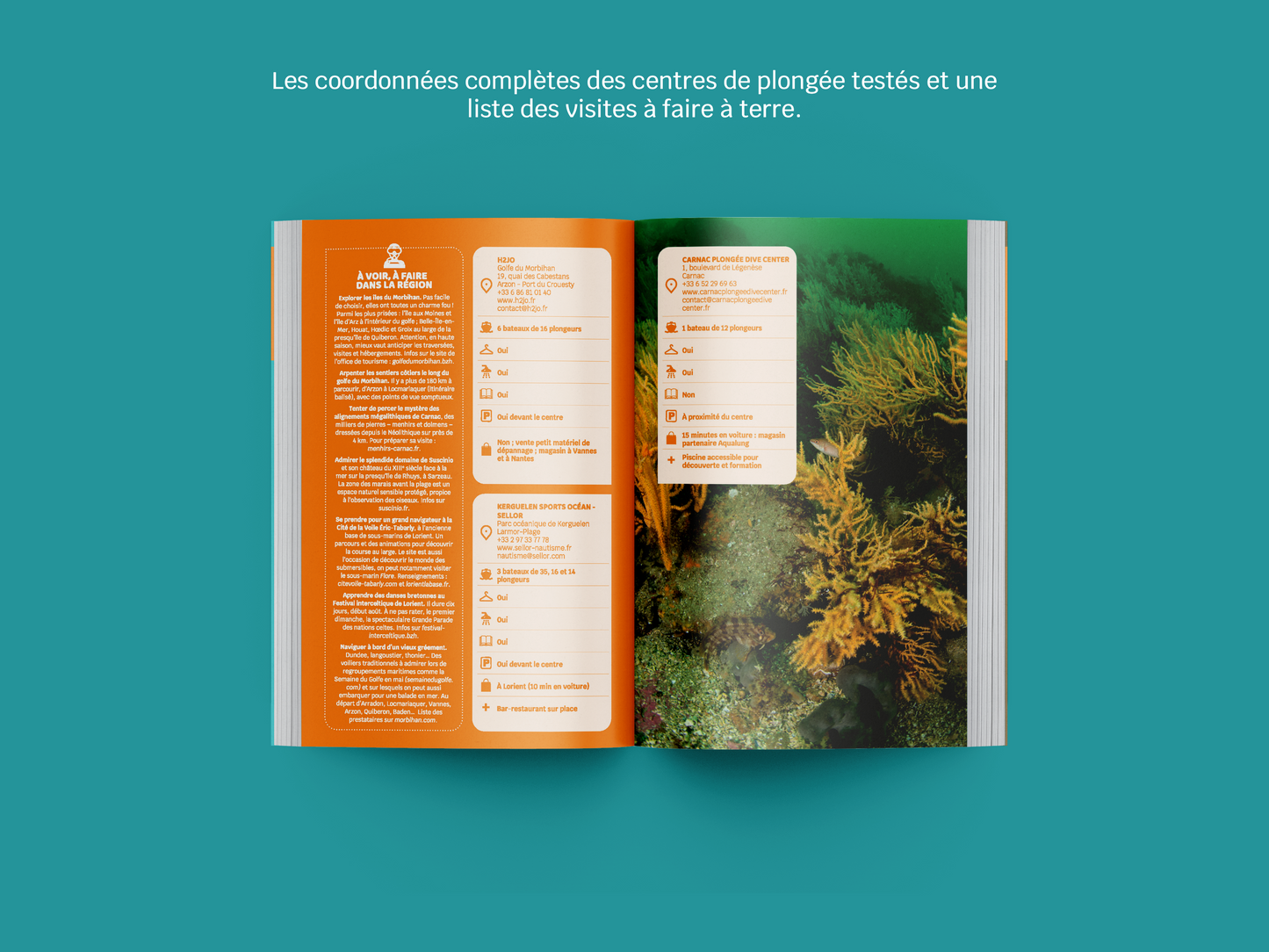 Destination plongée : Bretagne et Pays de la Loire