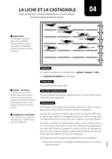1 année d’entraînement de plongée subaquatique en piscine - Exercices et jeux